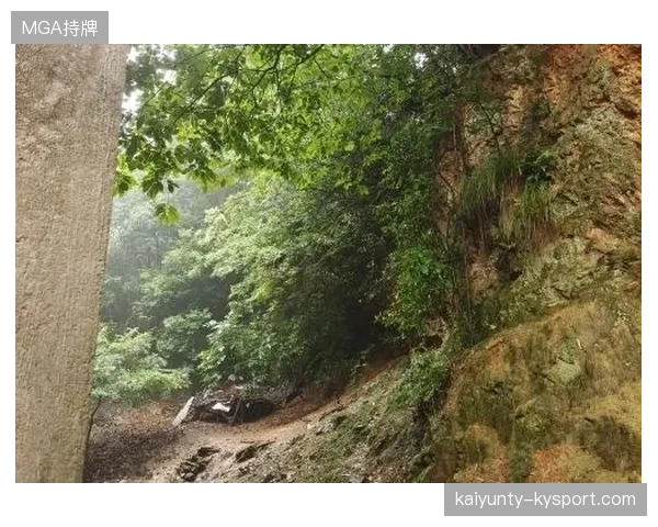 利兹联盯上荷甲新秀，全力提前签约谋划未来